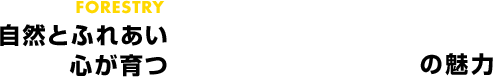自然とふれあい心が育つ林業の魅力