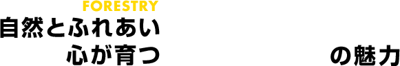 自然とふれあい心が育つ林業の魅力