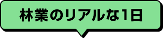 林業のリアルな1日