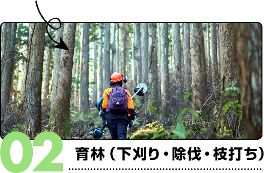 02.育林（下刈り・除伐・枝打ち）