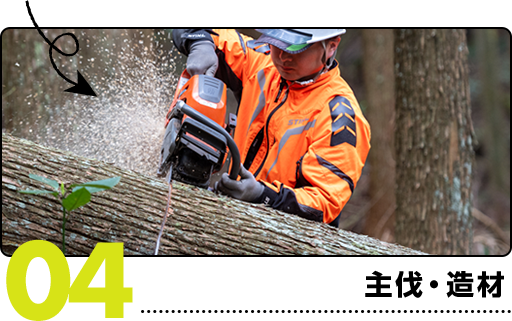 04.主伐・造材