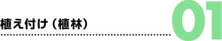 01.植え付け(植林)