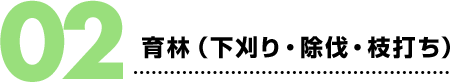 02.育林（下刈り・除伐・枝打ち）