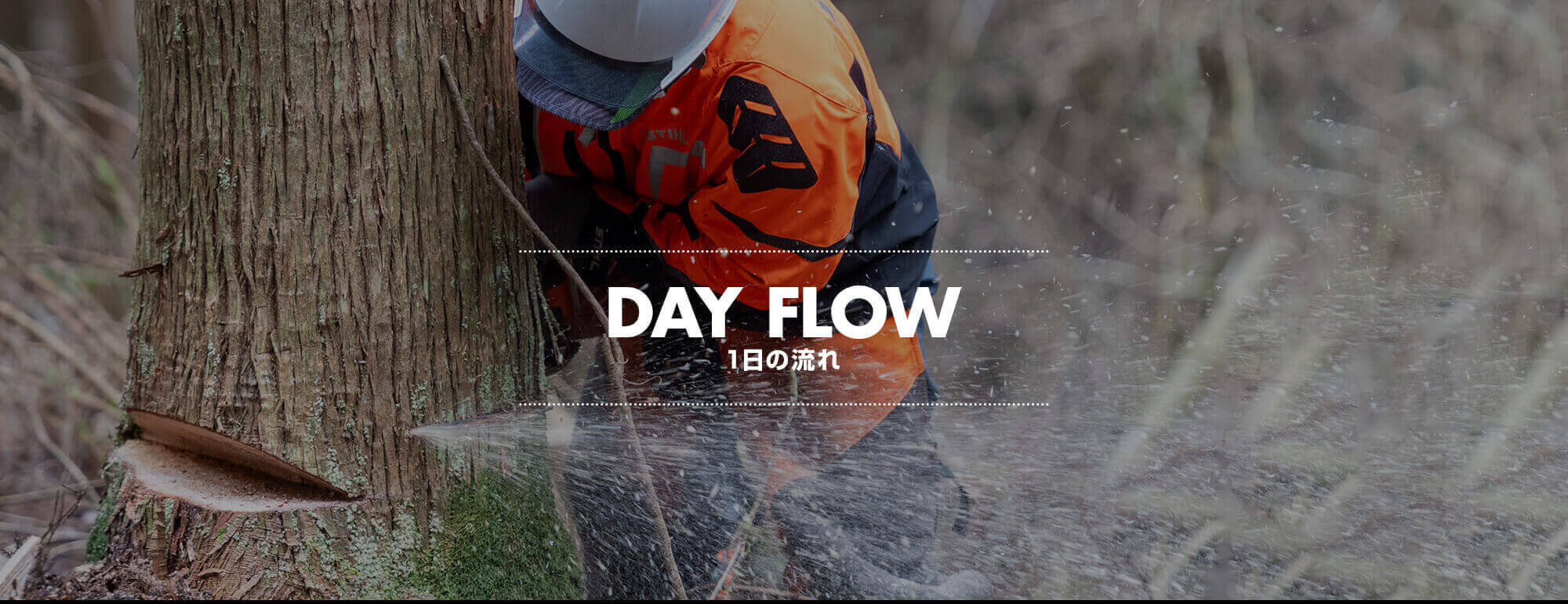 1日の流れ