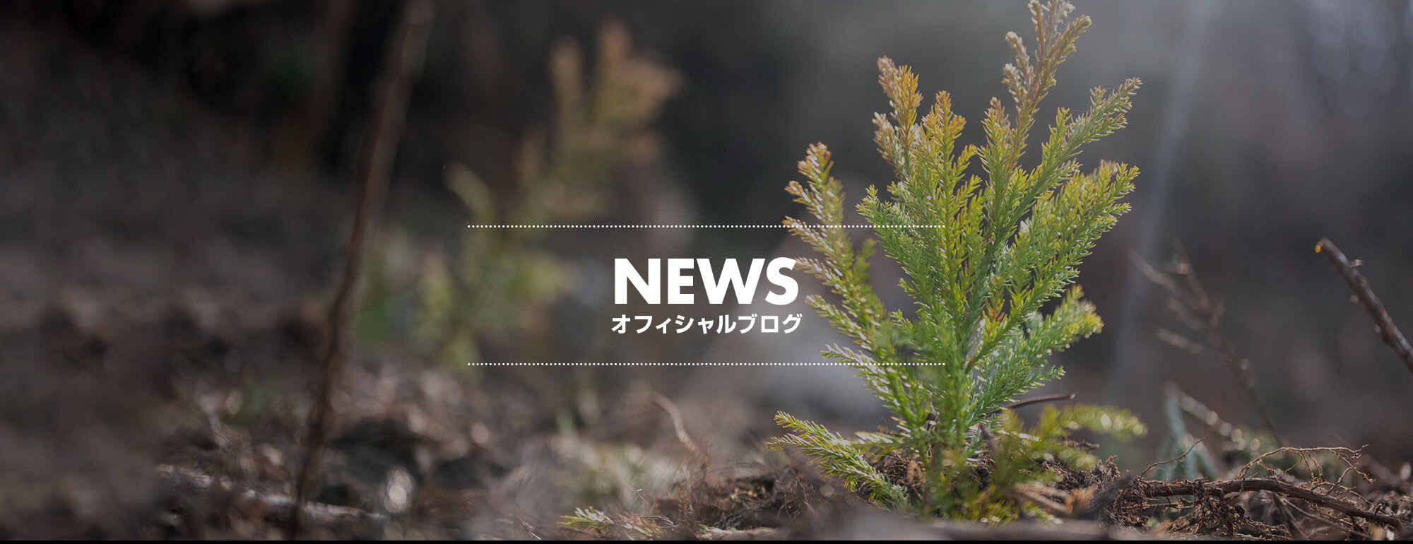 オフィシャルブログ