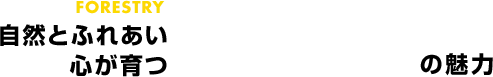 自然とふれあい心が育つ林業の魅力