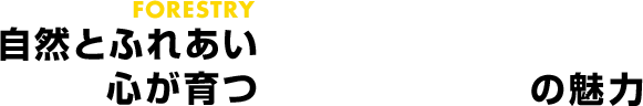 自然とふれあい心が育つ林業の魅力