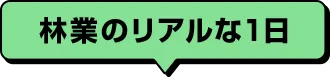 林業のリアルな1日