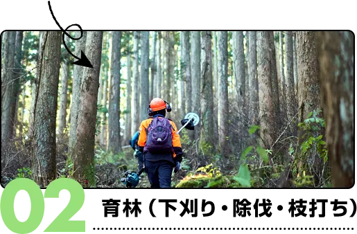 02.育林（下刈り・除伐・枝打ち）