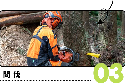 03.間伐