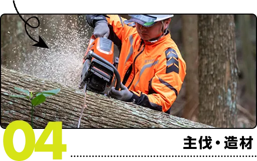 04.主伐・造材