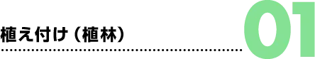 01.植え付け(植林)