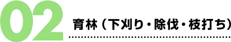 02.育林（下刈り・除伐・枝打ち）